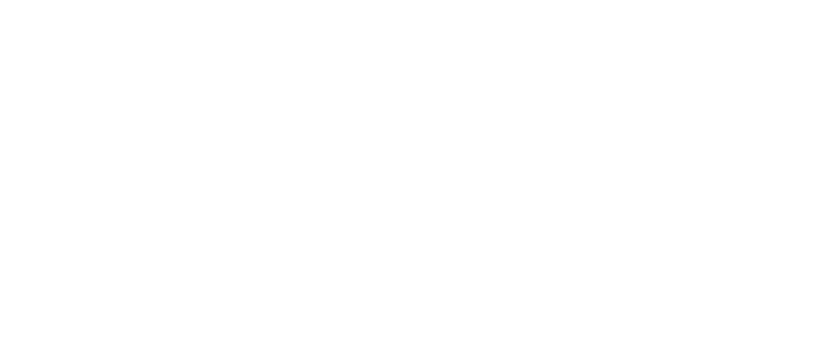 dNation