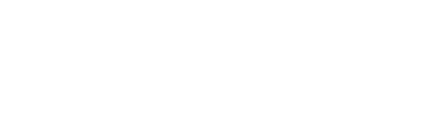STORDIS